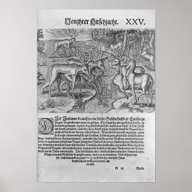 Florida-Amerikanische Ureinwohner Jagd auf Hirsche Poster (Vorne)