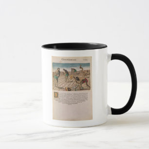 Florida-amerikanischer Ureinwohner, der Mais Tasse