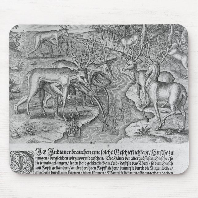 Florida-amerikanischer Ureinwohner, der Rotwild Mousepad (Vorne)