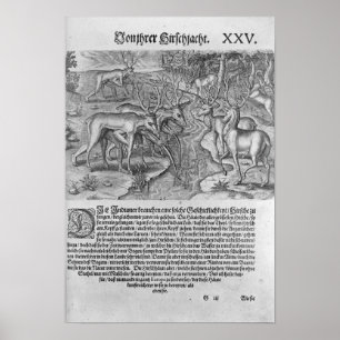 Florida-amerikanischer Ureinwohner, der Rotwild Poster