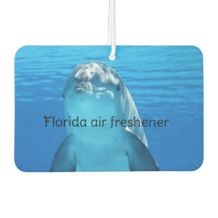 Florida autolufterfrischer