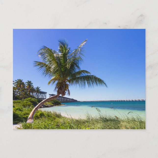 Florida - Bahia Honda Postkarte (Vorderseite)