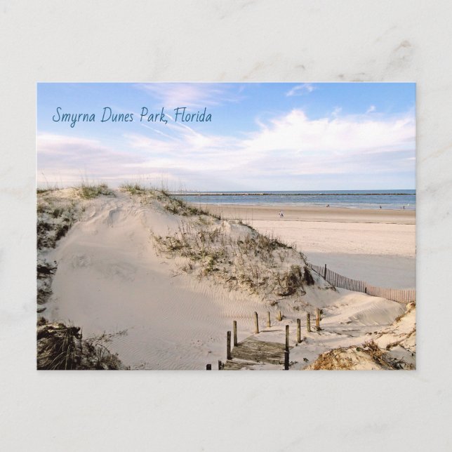 Florida Beach Dunes Park Ponce Inlet Postcard Postkarte (Vorderseite)