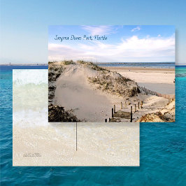 Florida Beach Dunes Park Ponce Inlet Postcard Postkarte