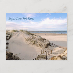 Florida Beach Dunes Park Ponce Inlet Postkarte
