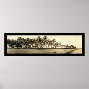 Florida befestigt Fischen-Foto 1912 Poster