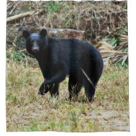 Florida Black Bear Duschvorhang