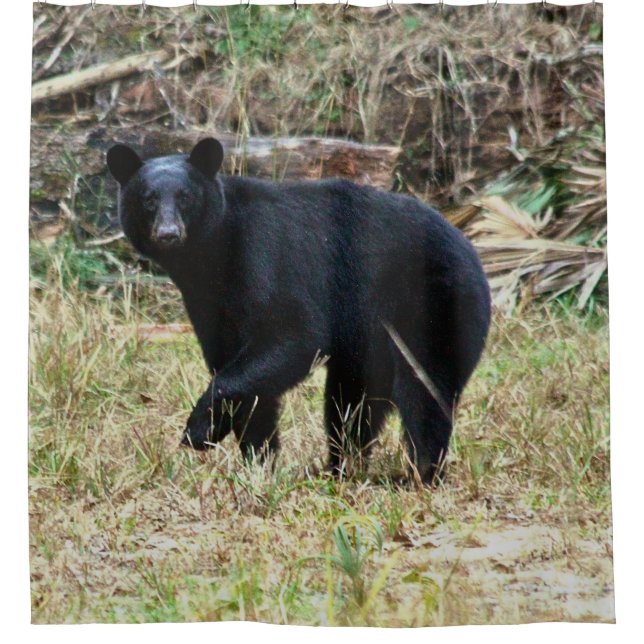 Florida Black Bear Duschvorhang (Vorderseite)