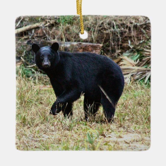 Florida Black Bear Keramikornament (Vorderseite)
