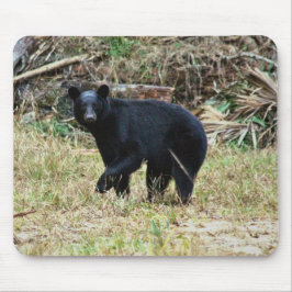 Florida Black Bear Mousepad