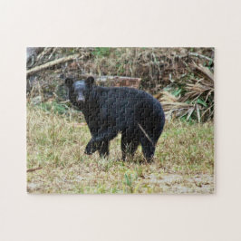 Florida Black Bear Puzzle