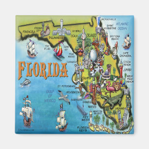 Florida Cartoon Karte Magnet
