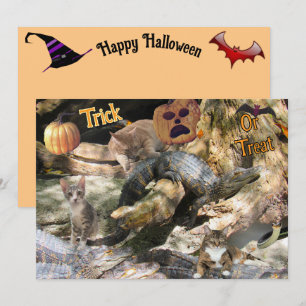 Florida Cat and Gator Flat Greet Card Feiertagskarte