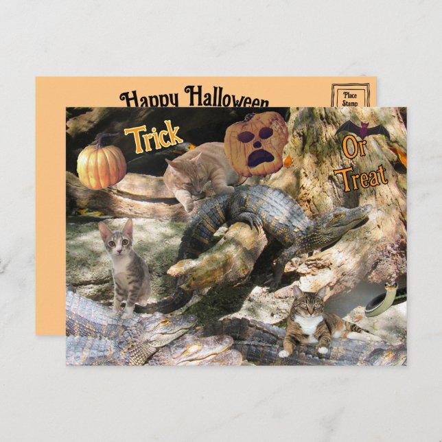 Florida Cat and Gator Halloween Postkarte (Vorne/Hinten)
