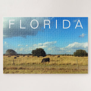 Florida Cattle Puzzle