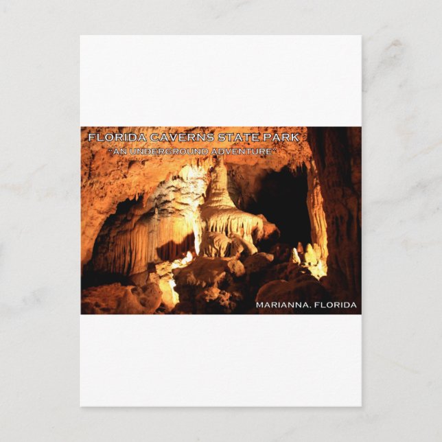 FLORIDA CAVERNS STAAT PARK - Marianna, Florida Postkarte (Vorderseite)