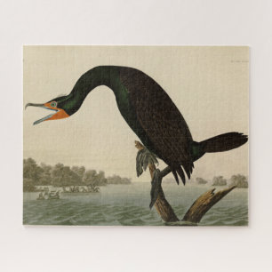 Florida Cormorant von Audubons Vögeln von Amerika Puzzle