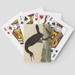 Florida Cormorant von Audubons Vögeln von Amerika Spielkarten