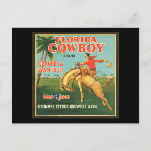 Florida Cowboy Orangen und Grapefruit Vintage-Werb Postkarte