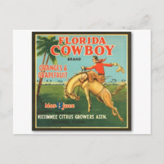Florida Cowboy Postkarte