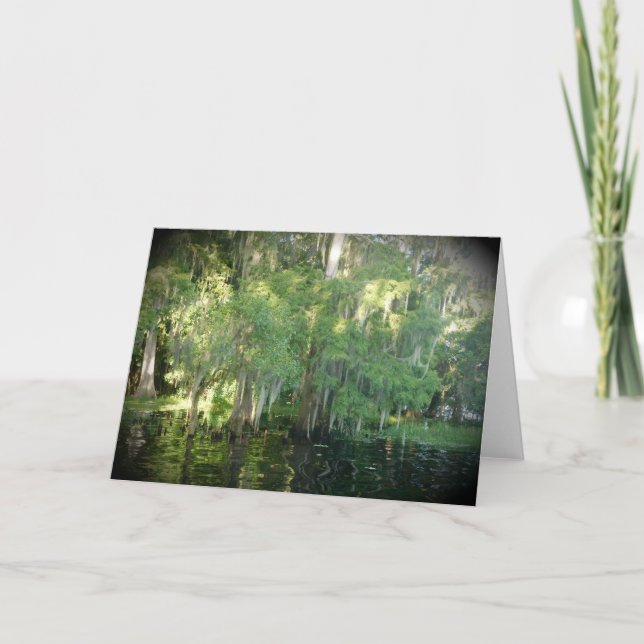 Florida Cypress Tree Note Card - Leere Karte (Vorderseite)