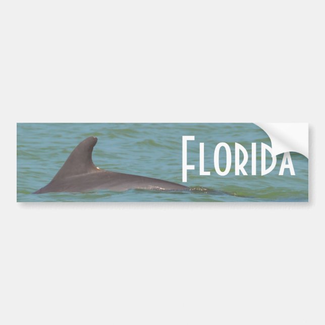 Florida-Delphin-Autoaufkleber Autoaufkleber (Vorne)