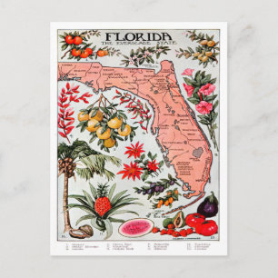 Florida, der Everglade-Staat, Karte