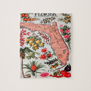 Florida, der Everglade-Staat, Karte Puzzle