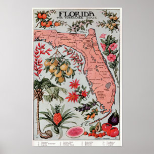 Florida Der Everglade-Staat ,Reiseplakat Poster