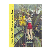 Florida, "Die Sonnenschein-Stadt"