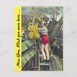 Florida, "Die Sunshine City" Postkarte