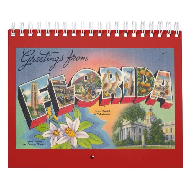 FLORIDA, ein Vintages Jahr Kalender (Titelbild)