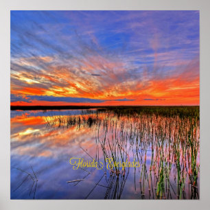 Florida Everglades, landschaftliches Panorama, Poster