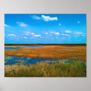 Florida Everglades Sawgrass, Himmel und Spiegelung Poster