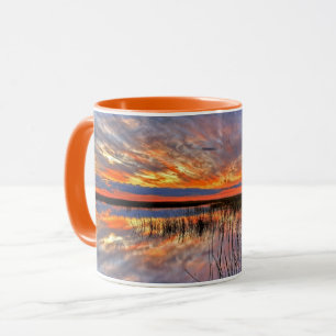 Florida Everglades Tasse