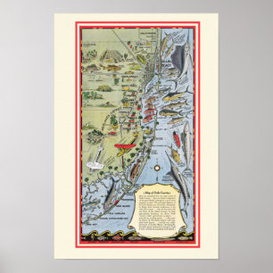 Florida Fish 12x18 Poster Print