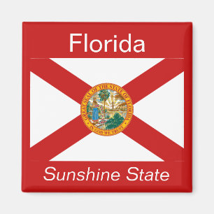 Florida-Flaggen-Magnet Magnet