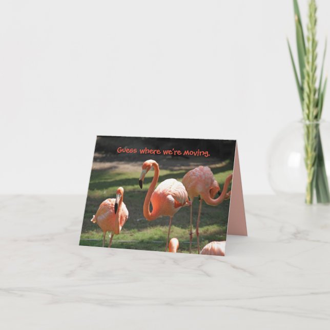 FLORIDA FLAMINGOS MOVING CARD DANKESKARTE (Vorderseite)