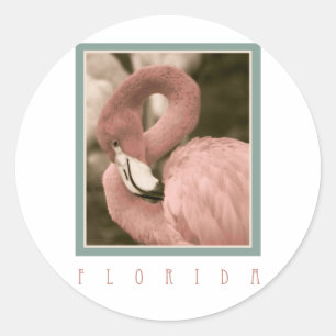 Florida Flamingos Runder Aufkleber