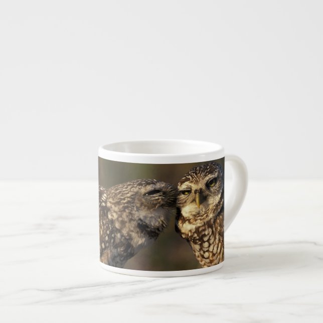 Florida, Fort Myers. Brennen der Owl Paare Espressotasse (Vorderseite Rechts)