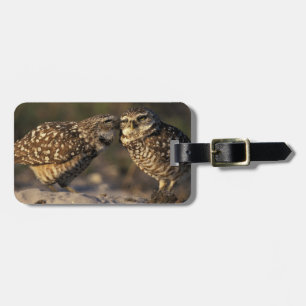 Florida, Fort Myers. Brennen der Owl Paare Gepäckanhänger