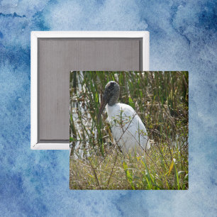 Florida-Foto für die Feuchtgebiete von Waldstorche Magnet
