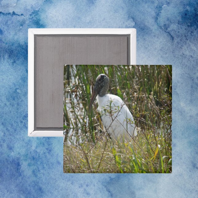 Florida-Foto für die Feuchtgebiete von Waldstorche Magnet (A magnet with a photo of a wood stork bird in Florida)