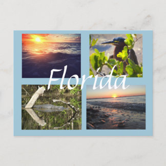 Florida-Fotografie Postkarte