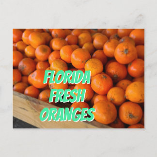 FLORIDA FRESH ORANGES Farmer's Market Grove Postkarte