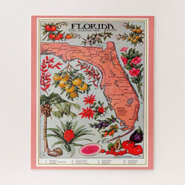 Florida Fruit 16x20 Jigsaw Puzzle (Vertikal)