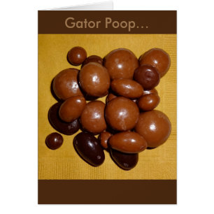 Florida Gator Kack Chocolate Specialties Card