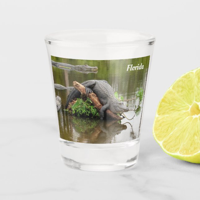 Florida Gator Shot Glass - Einfache Personalisieru Schnapsglas (Vorderseite)