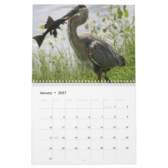 FLORIDA-GRAUREIHER KALENDER (Jan 2027)