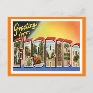 Florida Greetings Vintage Travel Postkarte
